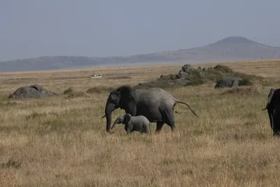 DSC_3897 (Large).JPG